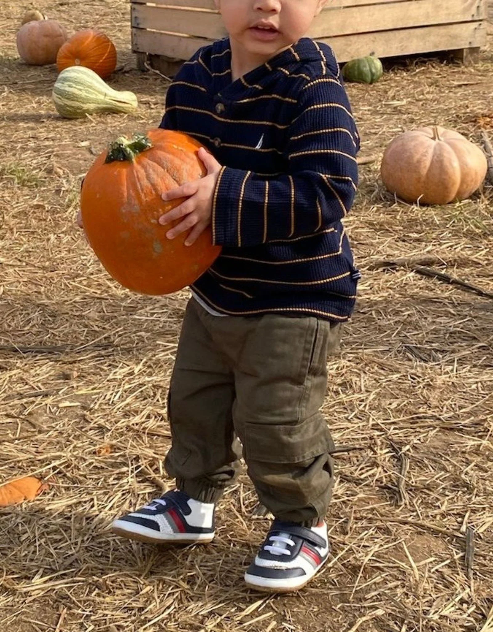 Everyday Ethan First Kicks - Image 3